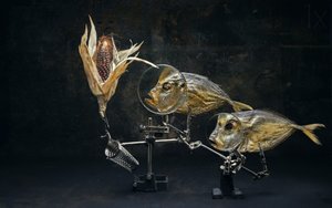 Curiosa natureza-morta com peixe de Brig Barkow