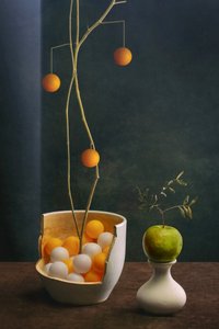 Elegante natureza-morta de fruta de Brig Barkow