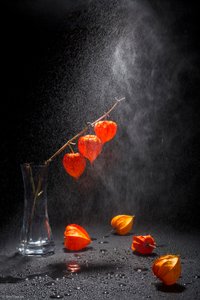 Lanternas laranja vibrantes de Brig Barkow