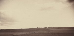 Vista de campos com vacas, anos 1850-1860 (foto) de British Photographer