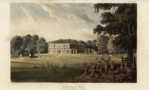 Rebanho de veados em frente ao Trentham Hall de British School