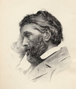 Thomas Carlyle (gravura) de British School
