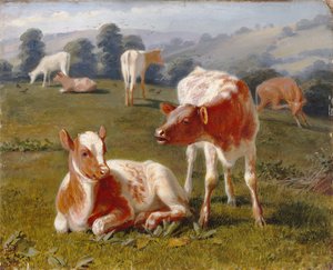 Bezerros num prado (óleo sobre cartão) de Briton Riviere