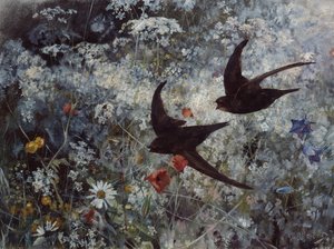 (Comum) Swift