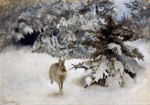 Uma lebre na neve