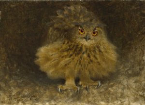 Uma coruja de águia, 1905