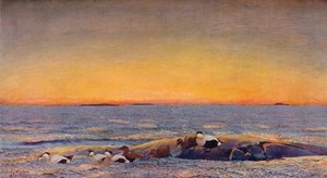 Nascer do sol, 1896 de Bruno Andreas Liljefors