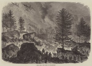 Grande incêndio na floresta de Fontainebleau