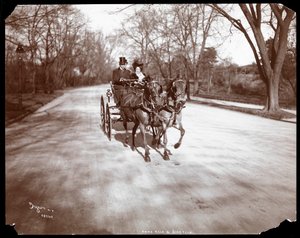 Anna Held e Florenz Ziegfeld dirigindo uma carruagem puxada por cavalos, Nova York, 1904 (impressão em gelatina de prata)