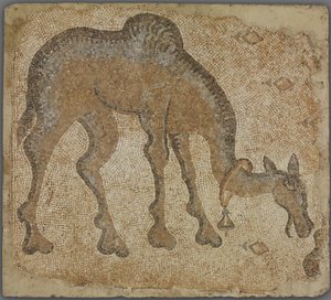 Fragmento de mosaico com camelo pastando de Byzantine