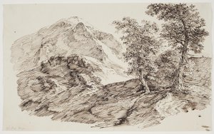 Paisagem montanhosa com árvores de C.F. von Rumohr