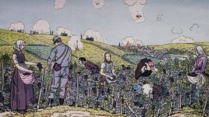 Os nossos viticultores vindimaram debaixo de fogo, a colheita na região de Champagne em 1914, Primeira Guerra Mundial, França, século XX de J.B. and Brown J. Rowbotham