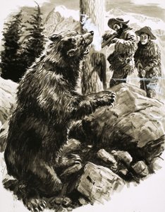 Urso pardo americano abatido por caçadores de C.L. Doughty