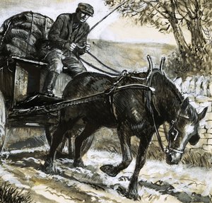 Os cavalos eram mal alimentados e sobrecarregados de trabalho de C.L. Doughty