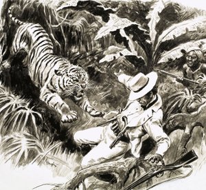 Tigre a atacar caçador