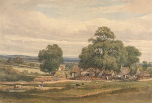 Emerey Down perto de Lyndhurst, New Forest, Hants de C. John M. Whichelo