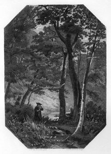 Herman Boerhaave, botânico holandês do século XVII-XVIII, humanista e médico, c1870.