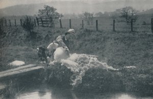 Tosquia de ovelhas, 1910 de C. Reid