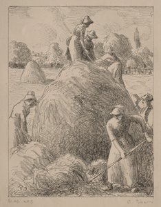 Fenozeiros de Eragny, c.1896 (litografia) de Camille Pissarro