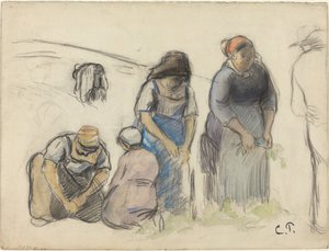 Colheitadeiras de ervilha [reto], c. 1880. de Camille Pissarro
