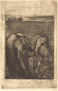 Camponeses em um Campo de Feijões Camponeses em um Campo de Feijões, 1891. de Camille Pissarro