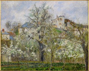 primavera, Flores de pera (óleo sobre tela) de Camille Pissarro