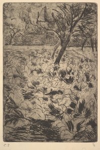 O Campo de Repolho, ca. 1880 de Camille Jacob Pissarro