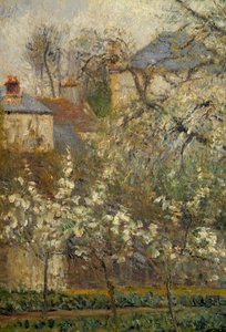 Horta e árvores em flor na primavera em Pontoise de Camille Jacob Pissarro