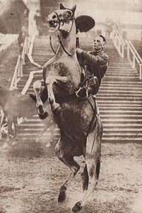 Cowboy a controlar um cavalo que se levanta (fotografia a preto e branco)