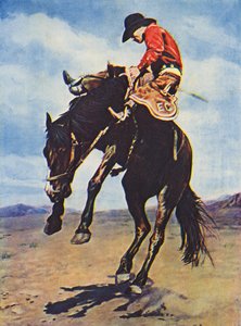 Cowboy a montar um bucking bronco (fotografia a cores)