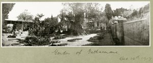 Jardim do Getsêmani, 14 de dezembro de 1917 de Capt. Arthur Rhodes