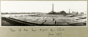 Vista do Nilo da Sede da NZMFA, Cairo, junho de 1917 de Capt. Arthur Rhodes