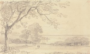 Vacas Orientais de Spring Hill, Ilha de Wight de Capt. Thomas Hastings