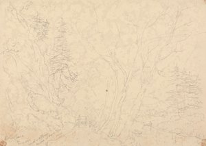 Holne Chase, 30 de Maio de 1833 de Capt. Thomas Hastings