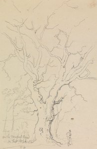 Na Newport Road, 12 de Fevereiro de 1826 de Capt. Thomas Hastings