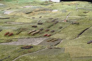 Diorama da Batalha de Waterloo mostrando as tropas posicionadas às 19h45 do dia 18 de junho de 1815 (mídia mista) (detalhe)