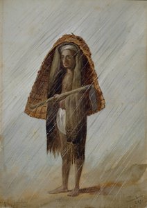 Cultivador de Concan Coonbie, Índia