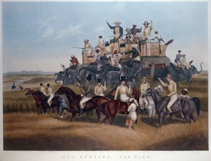 Caça ao porco: The Find, gravado e pub. por Srs Fores, c.1840 (gravura colorida) de Captain John (after) Platt