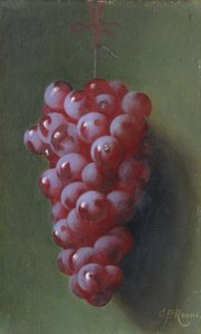 Ainda vida com uvas.