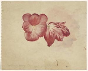 Duas tulipas vermelhas de Carel Adolph Lion Cachet