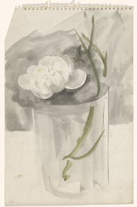 Flor branca em um copo de Carel Adolph Lion Cachet