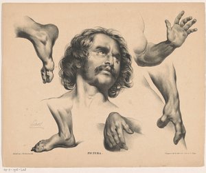 Cabeça de um homem, pés, mãos e braços Pictura (título da série no objeto) de Carel Christiaan Antony Last