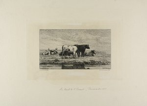 O Banco de Escaut de Carel Nicholaas Storm van Gravesunde