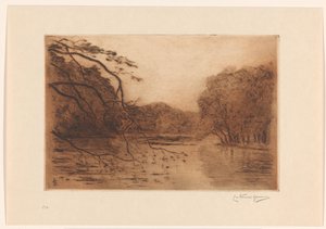 Lago na Floresta de Haia de Carel Nicolaas Storm van 