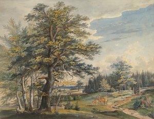 Paisagem arborizada com veado, 1800-1877.