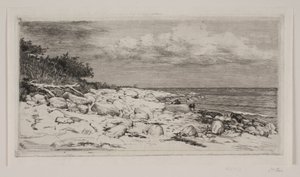 Stony Strandbred de Carl Bloch