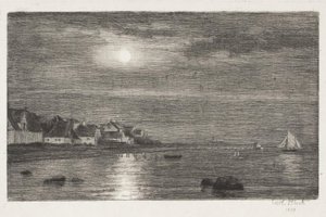Seção de praia em Hellebæk. Luar de Carl Bloch
