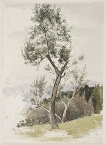 Árvores em uma encosta de Carl Bloch