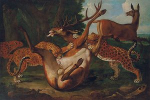 Leopardos atacando veados em uma paisagem