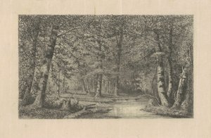 Floresta de Faias